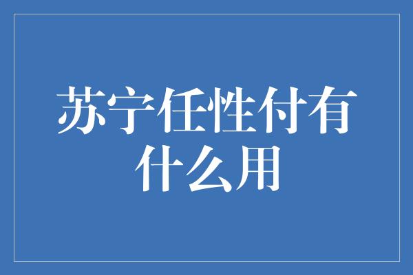 苏宁任性付有什么用