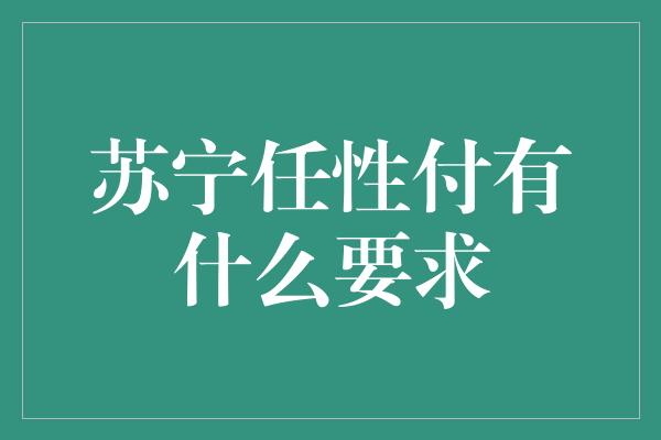 苏宁任性付有什么要求