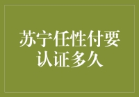 苏宁任性付：等待认证的日子里，我学会了等待的哲学