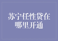 苏宁任性贷：便捷贷款服务开通指南