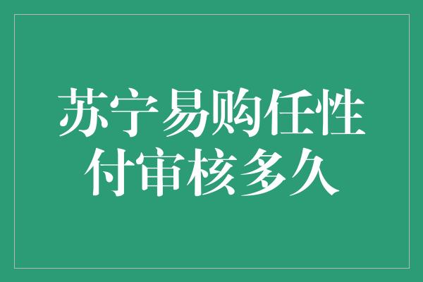 苏宁易购任性付审核多久