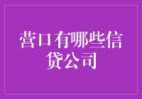 营口的信贷公司大探秘：从一分钱到满城尽带黄金甲