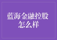 从蓝海金融控股解析创新金融理念与实践