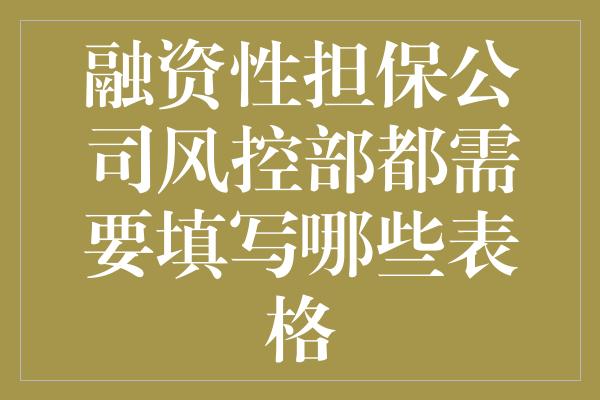 融资性担保公司风控部都需要填写哪些表格