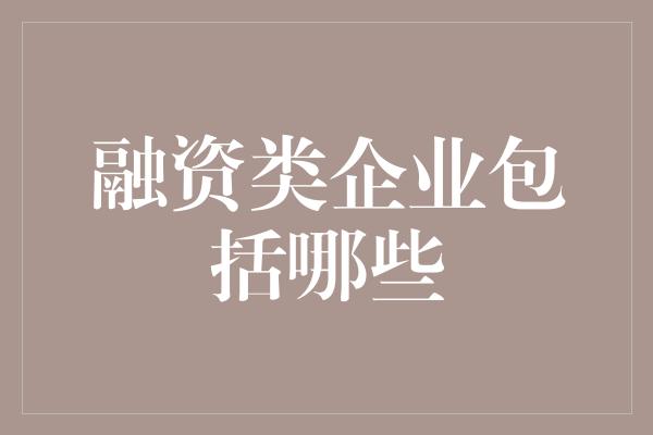 融资类企业包括哪些