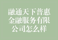 融通天下普惠金融服务有限公司：普惠金融界的慈母多败儿