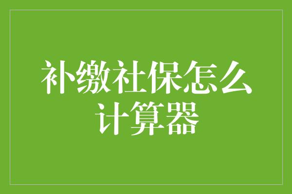 补缴社保怎么计算器