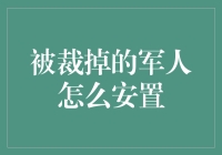 被裁军人安置计划：从技能培训到心理辅导的全方位关怀