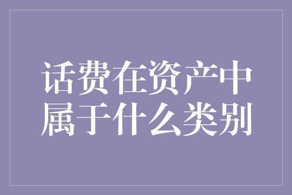 话费在资产中属于什么类别