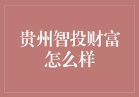 贵州智投财富：一场金融版的天天向上