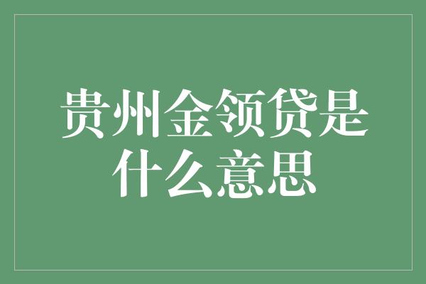 贵州金领贷是什么意思