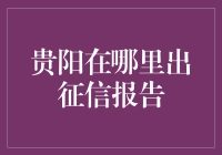 贵阳征信报告的神秘之旅：一场数据侦探之旅