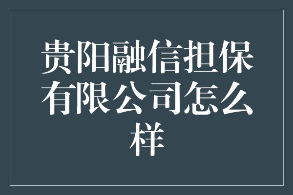 贵阳融信担保有限公司怎么样