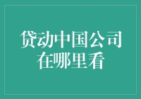 贷动中国公司：探索其业务范围与服务模式