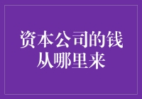 资本公司资金来源探析：从初创到成熟的资本市场路径