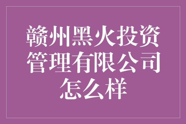 赣州黑火投资管理有限公司怎么样