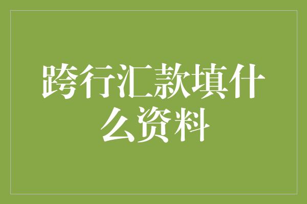 跨行汇款填什么资料