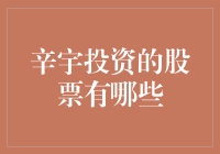 辛宇投资的股票组合分析：精准价值投资策略的展现