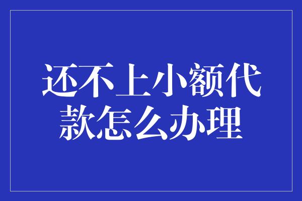 还不上小额代款怎么办理