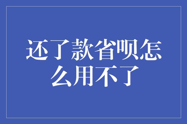 还了款省呗怎么用不了