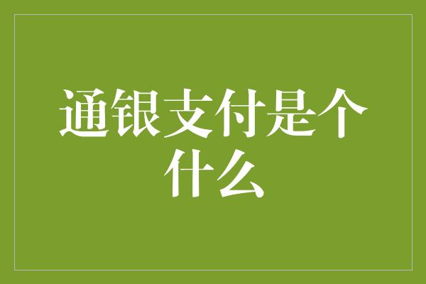 通银支付是个什么