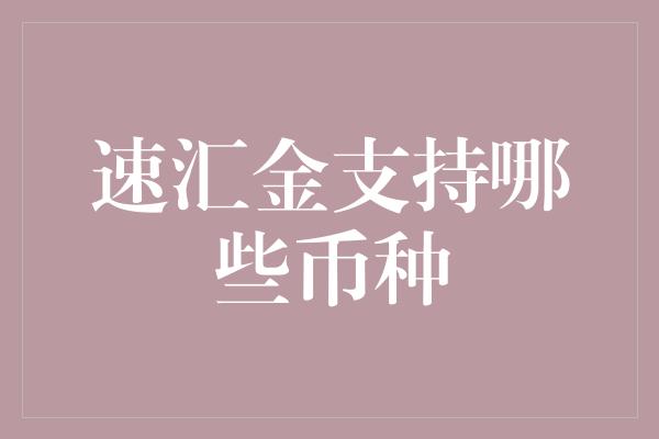 速汇金支持哪些币种