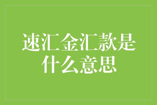 速汇金汇款是什么意思