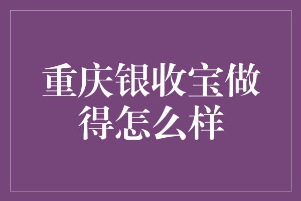 重庆银收宝做得怎么样