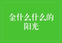 金什么什么的阳光：寻找那块失落的太阳碎片