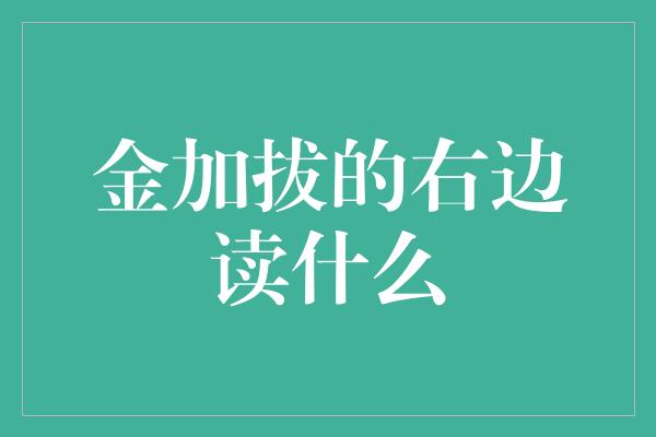 金加拔的右边读什么