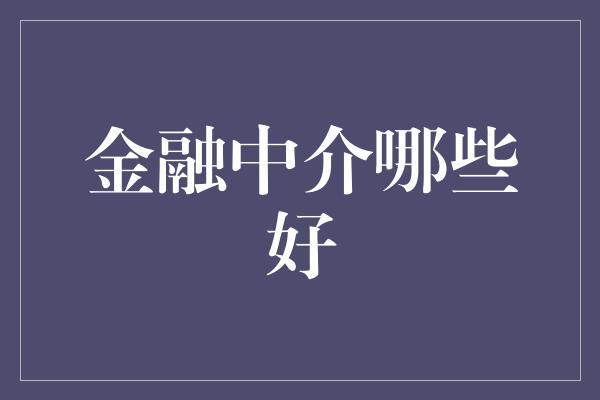 金融中介哪些好