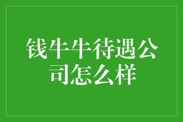 钱牛牛待遇公司怎么样