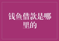 鱼跃龙门：钱鱼借款平台深度解读