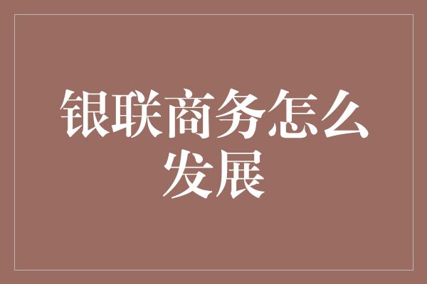 银联商务怎么发展