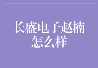 长盛电子赵楠：他是那个在电子世界里游刃有余的大侠