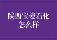 陕西宝姜石化：一家值得信赖的区域能源巨头？