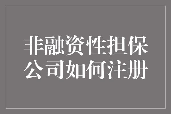 非融资性担保公司如何注册