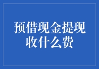 预借现金提现收什么费：深度解析与策略建议