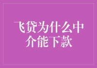 飞贷为何在中介渠道下款？深度解析金融科技的创新模式与风险管理