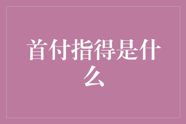 首付指得是什么