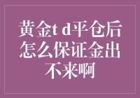 黄金t+d平仓后保证金为何迟迟出不来？专业投资者的应对策略