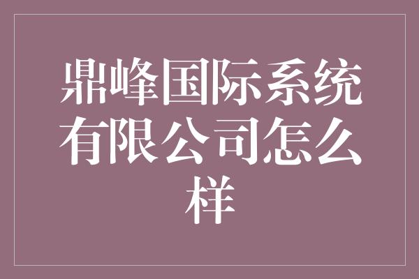 鼎峰国际系统有限公司怎么样