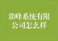 鼎峰系统有限公司评价解析：从技术创新到客户服务