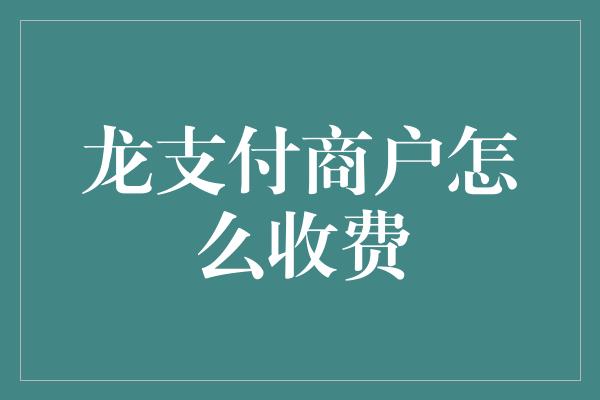 龙支付商户怎么收费