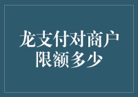 龙支付商户限额解析：精准定位与安全并重