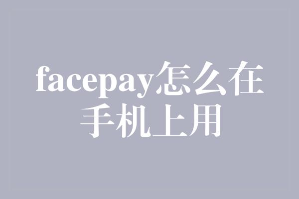 facepay怎么在手机上用