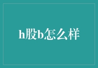 H股B：基石投资的稳健选择