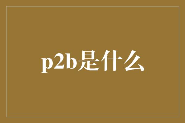 p2b是什么