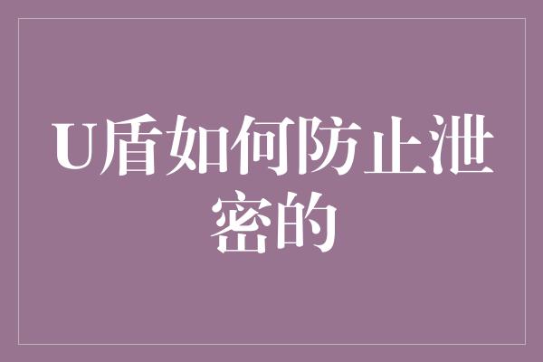 U盾如何防止泄密的