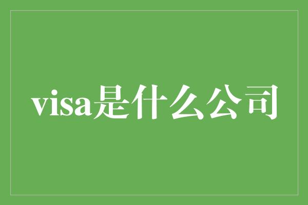 visa是什么公司